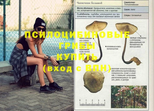 дурь Осинники