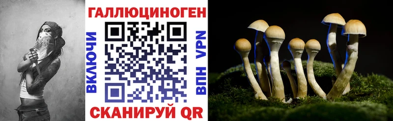 ссылка на мегу зеркало  Абаза  Галлюциногенные грибы MAGIC MUSHROOMS  где купить наркотик 